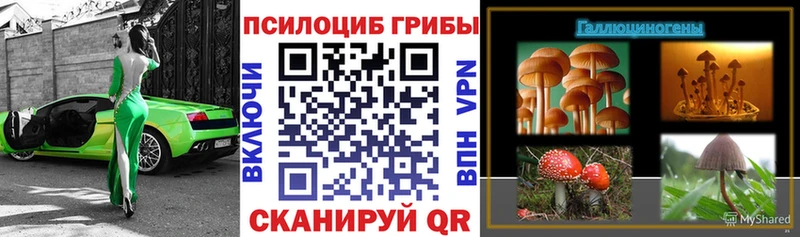 Псилоцибиновые грибы мицелий Шумиха