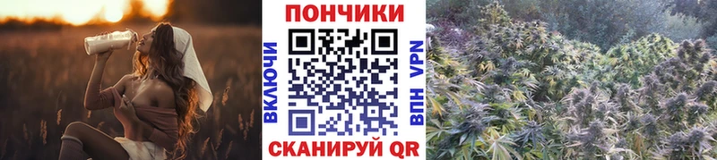 как найти закладки Шумиха Бошки Шишки AK-47